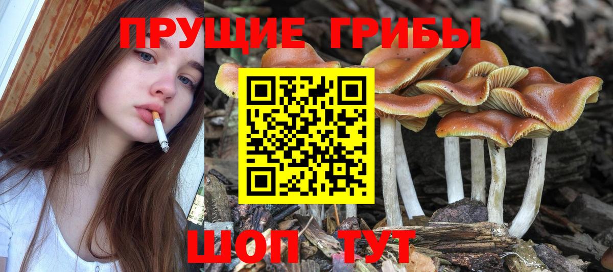 Псилоцибиновые грибы мицелий  Вход с VPN  Аксай  Псилоцибиновые грибы ЛСД 