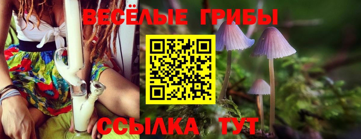 Галлюциногенные грибы ЛСД Аксай